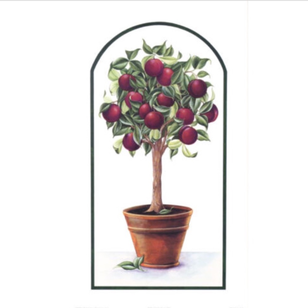 Fruit Tree Prints Terra Cotta Lemon Plum Apple Pear 7 1/2 x 13